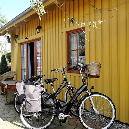 In By Szczecin Lagoon