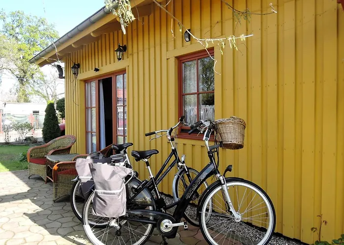 In By Szczecin Lagoon